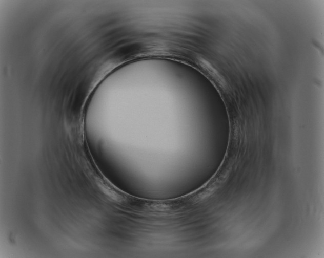 X0000091891370200709121431