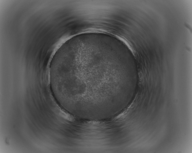 X0000091891371200709121431