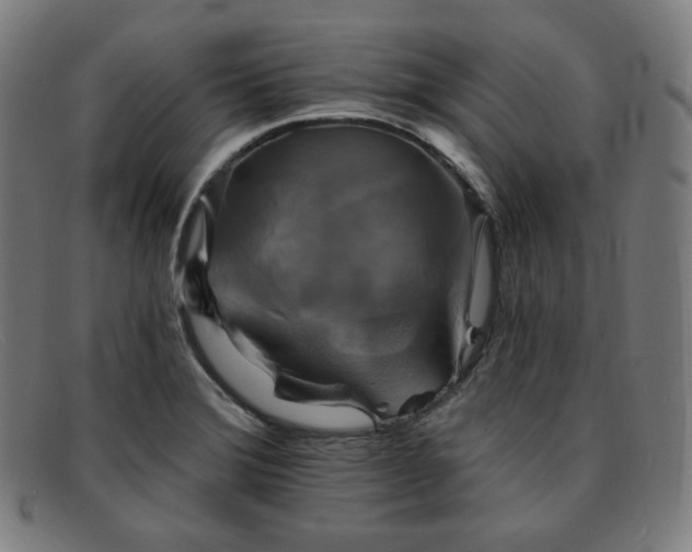X0000091891372200709121431