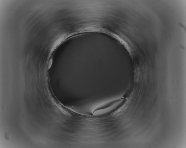 X0000091891373200709121431