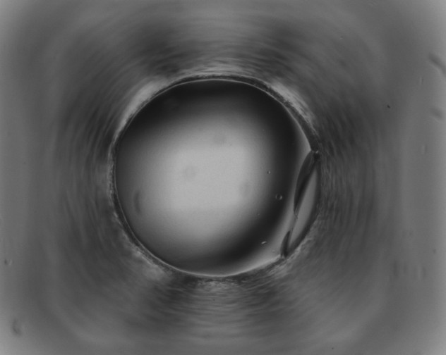 X0000091891374200709121431