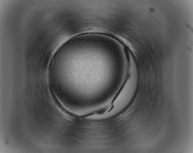 X0000091891375200709121431
