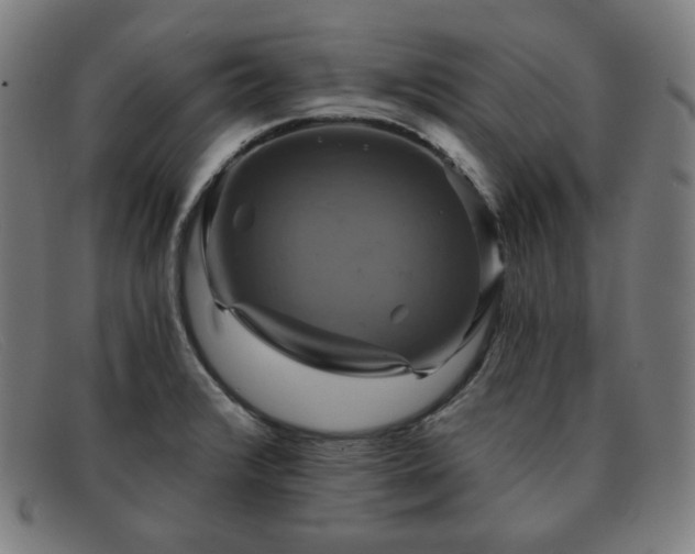 X0000091891376200709121431