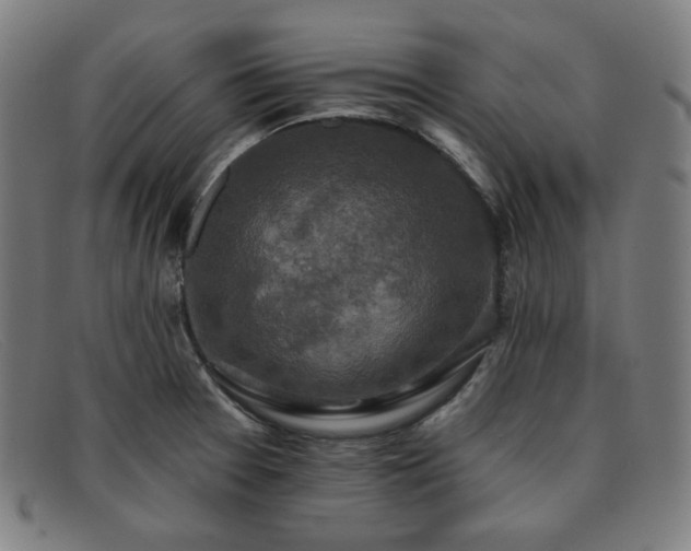 X0000091891377200709121431
