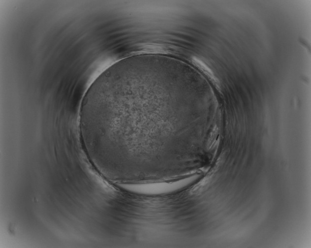 X0000091891378200709121431