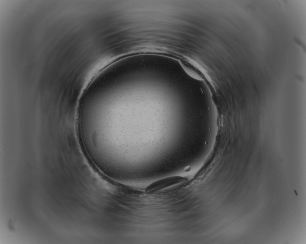X0000091891379200709121431