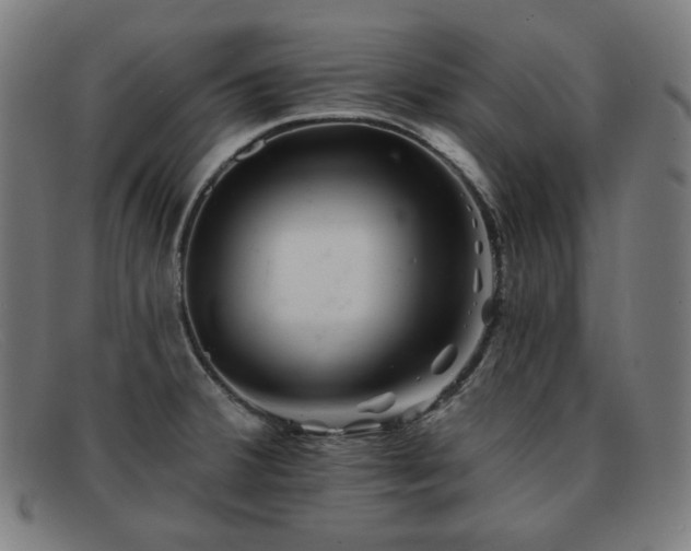 X0000091891380200709121431