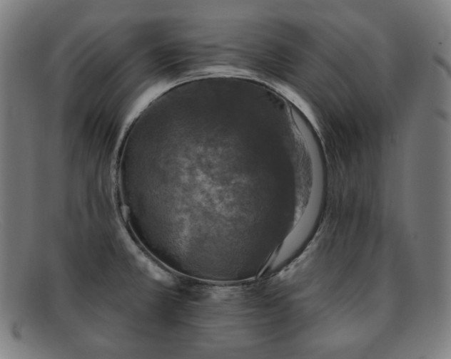 X0000091891381200709121431
