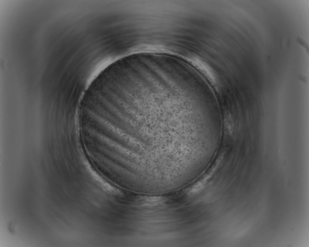 X0000091891382200709121431