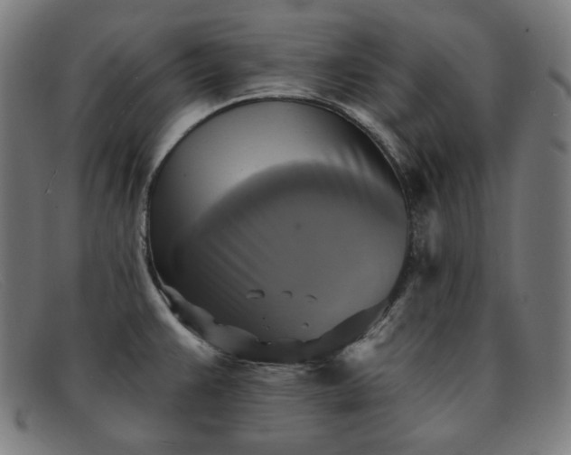 X0000091891383200709121431