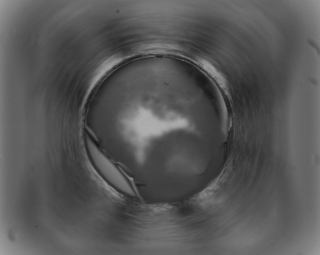X0000091891384200709121431