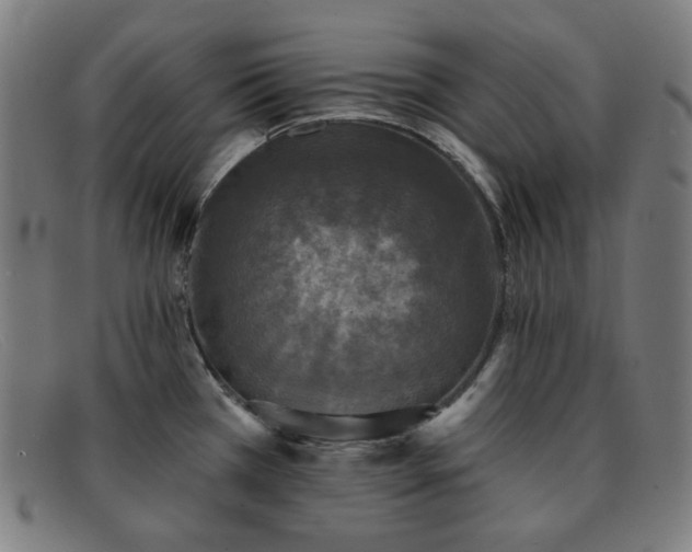X0000091891385200709121431