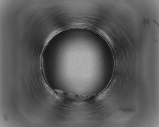 X0000091891386200709121431