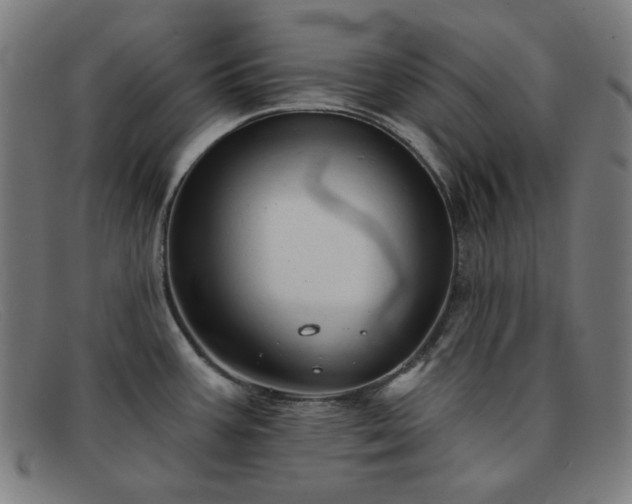 X0000091891387200709121431