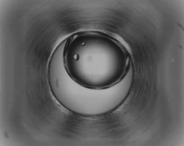 X0000091891388200709121431