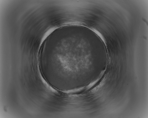 X0000091891389200709121431