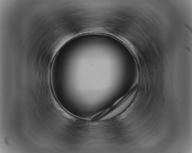 X0000091891390200709121431