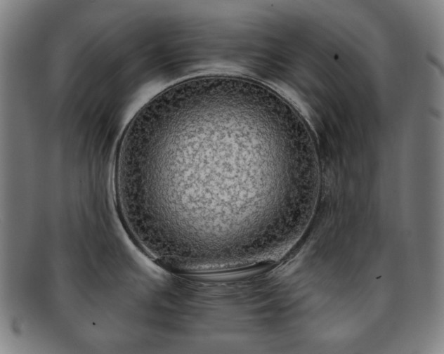 X0000091891391200709121431