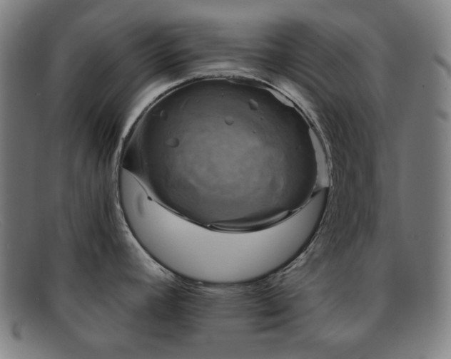 X0000091891392200709121431