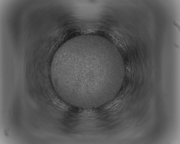 X0000091891393200709121430