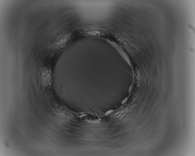 X0000091891394200709121430