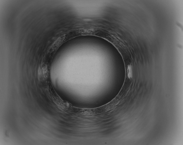 X0000091891395200709121430