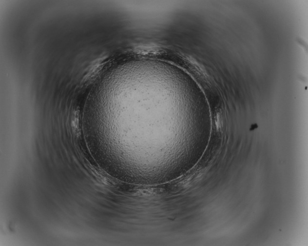 X0000091891396200709121430