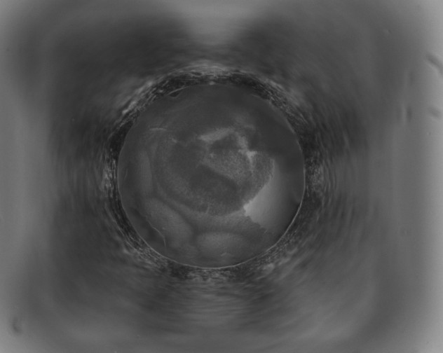 X0000091891397200709121430