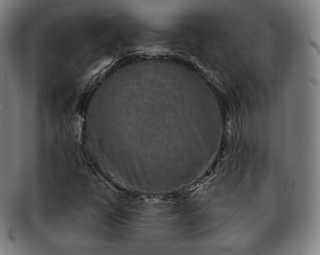 X0000091891398200709121431