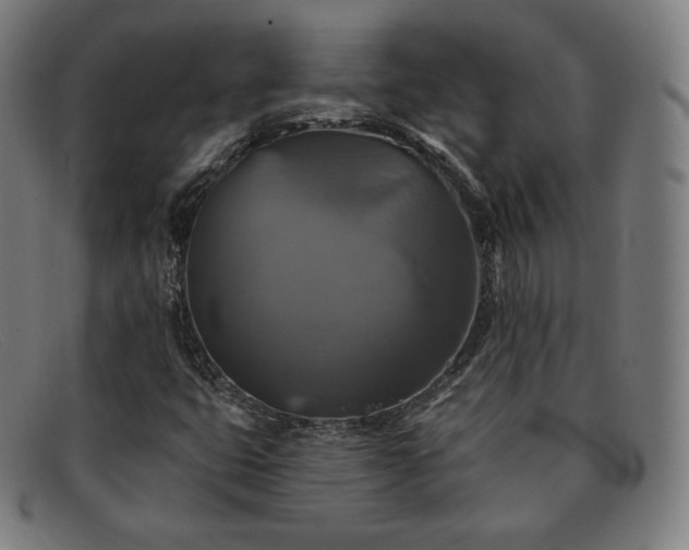 X0000091891399200709121431