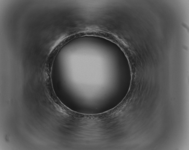 X0000091891400200709121431