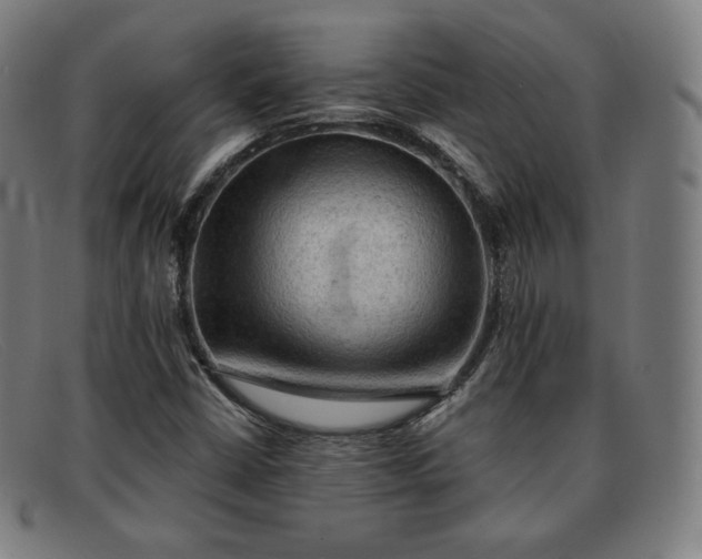 X0000091891402200709121431