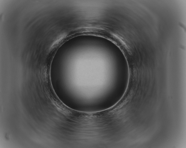 X0000091891403200709121431
