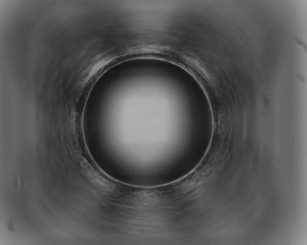 X0000091891404200709121431