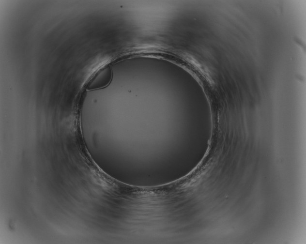 X0000091891405200709121431