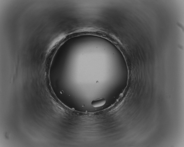 X0000091891406200709121431