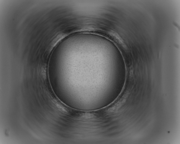 X0000091891409200709121431