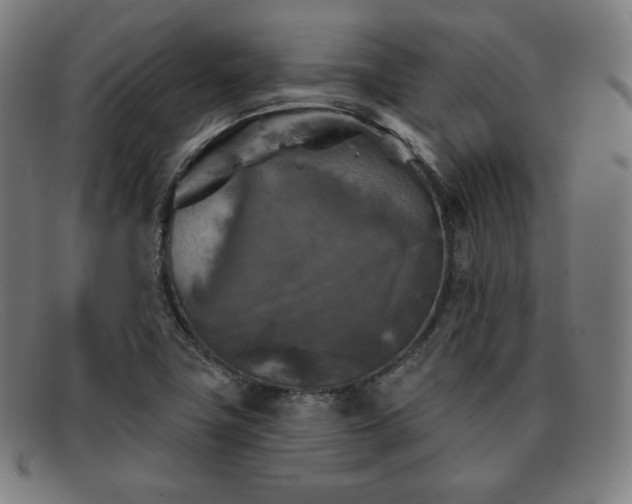 X0000091891411200709121431