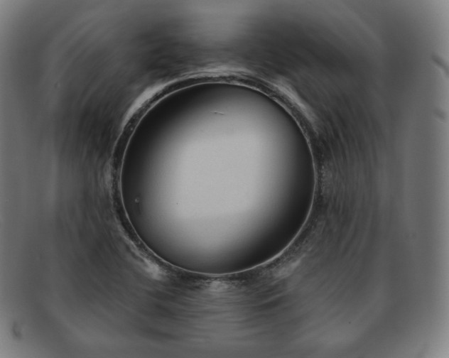 X0000091891412200709121431