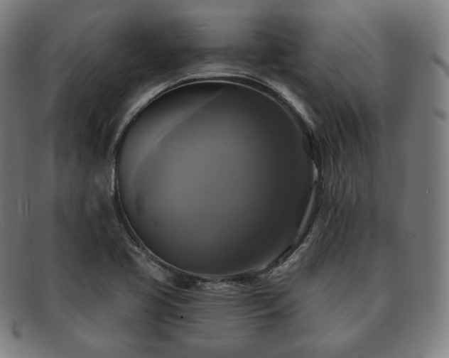 X0000091891413200709121431