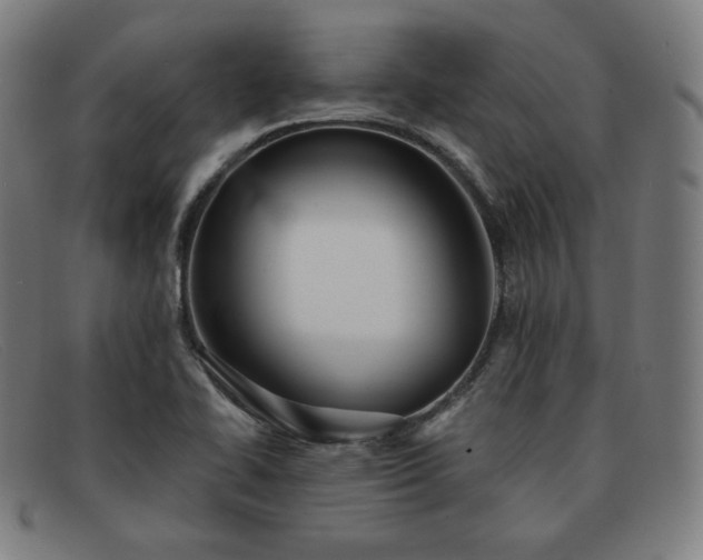 X0000091891414200709121431