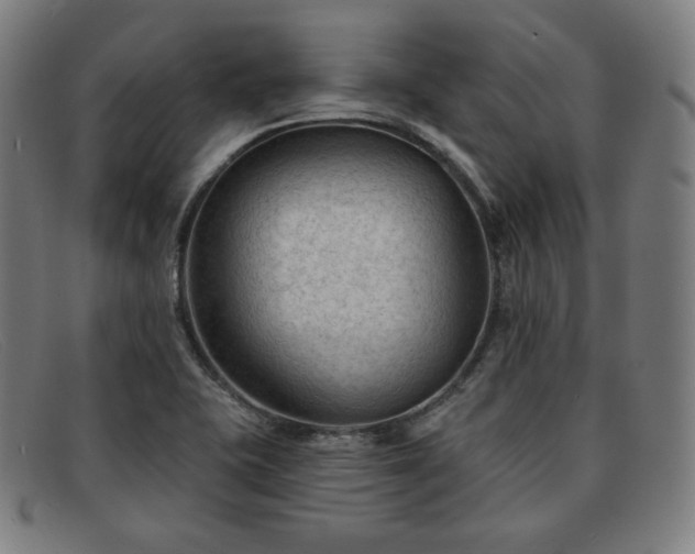 X0000091891415200709121431