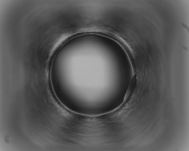 X0000091891416200709121431