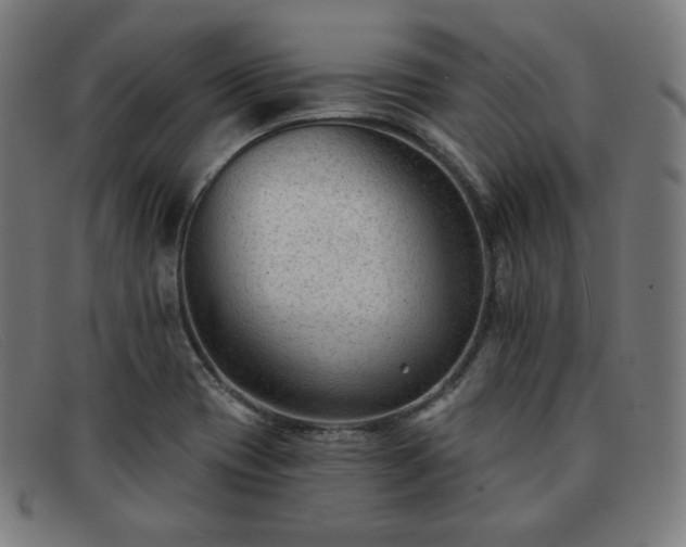 X0000091891417200709121431