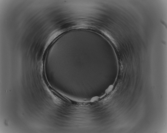 X0000091891418200709121431