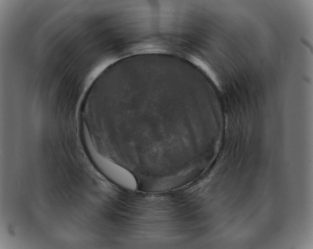 X0000091891419200709121431