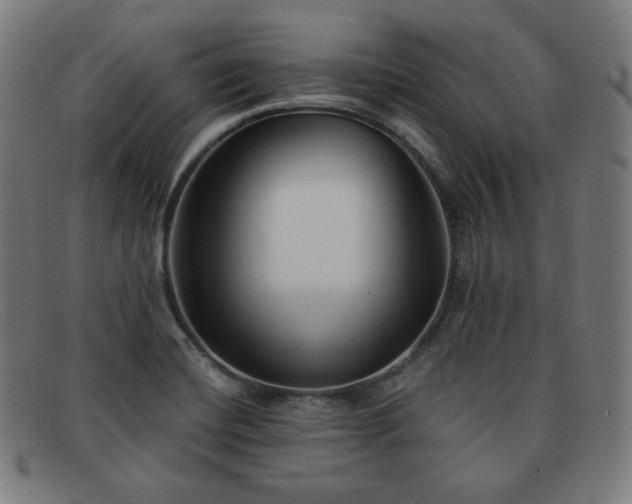 X0000091891420200709121431
