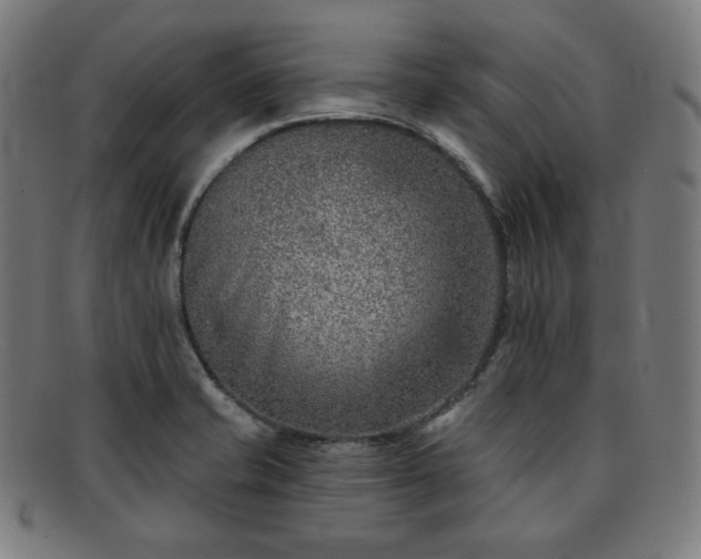 X0000091891421200709121431