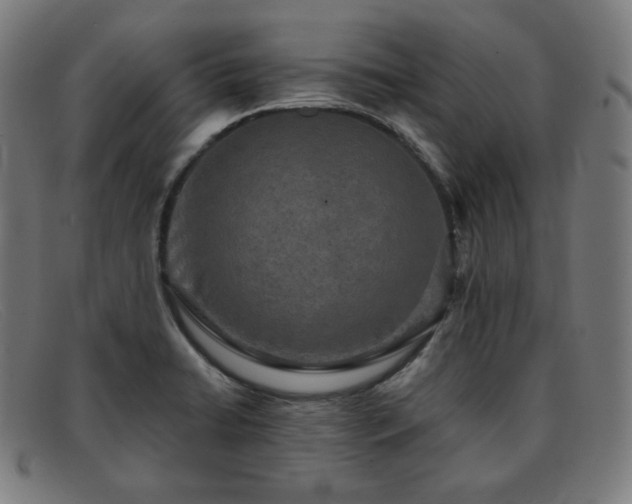 X0000091891422200709121431