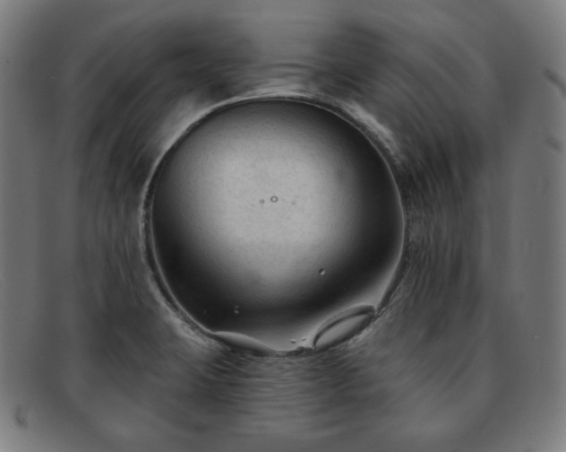 X0000091891423200709121431